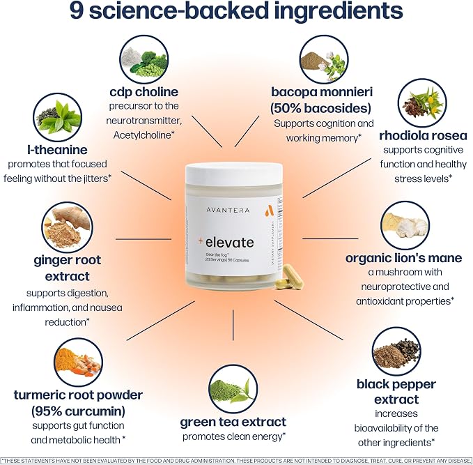 Avantera Elevate Premium Nootropic – 30 Day Supply