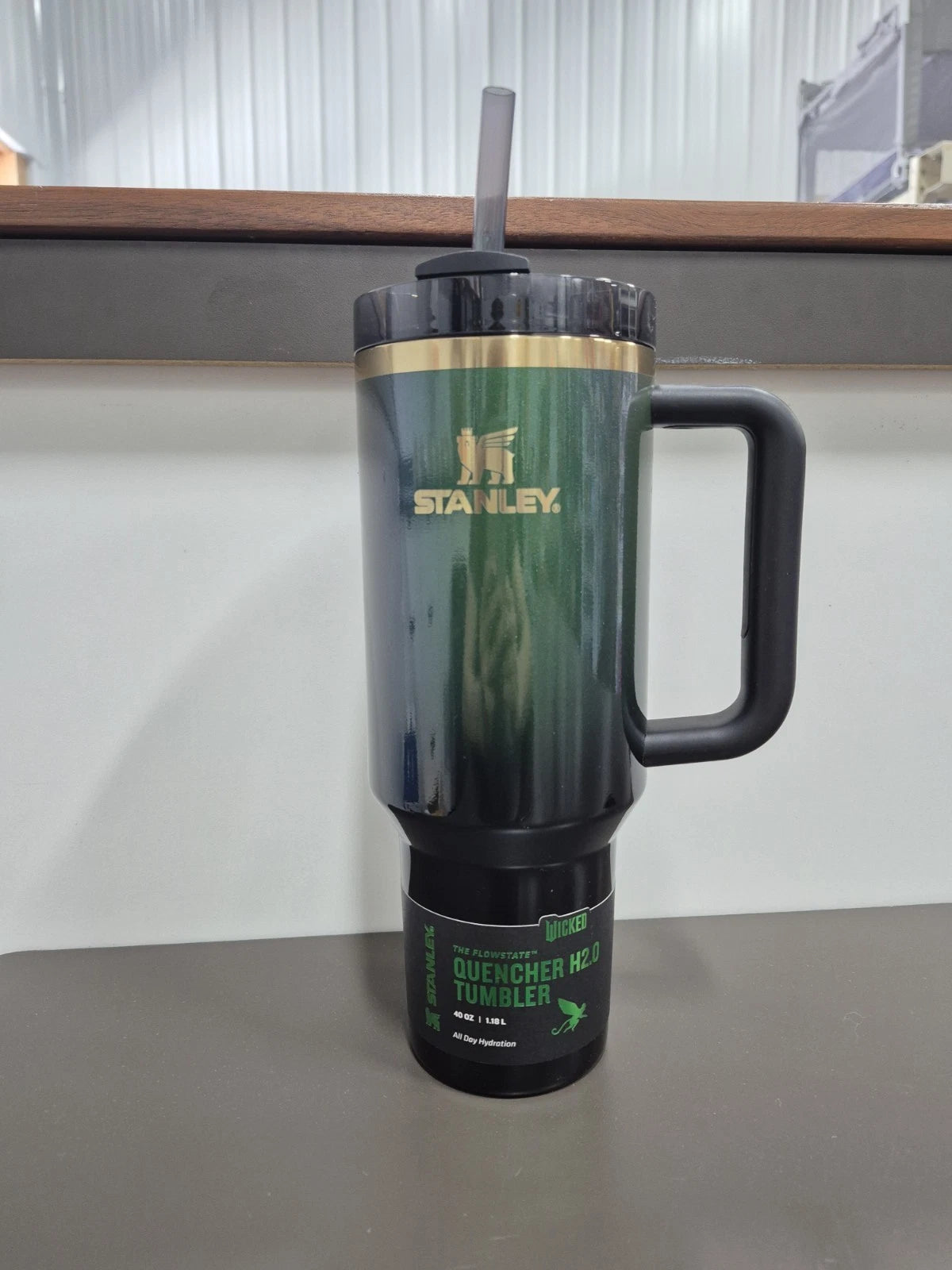 40oz WICKED Tumbler ELPHABA Target Exclusive